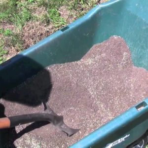 How To Plant Grass Seed Quickly and Easily